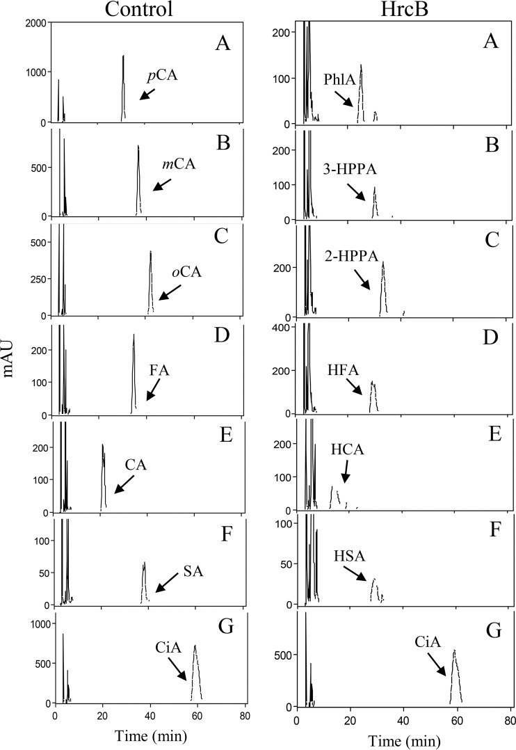 FIG 5