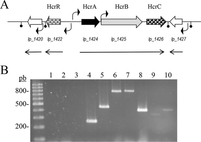 FIG 2