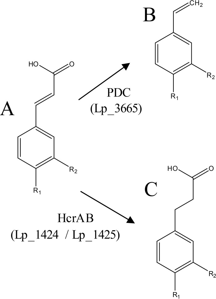 FIG 10