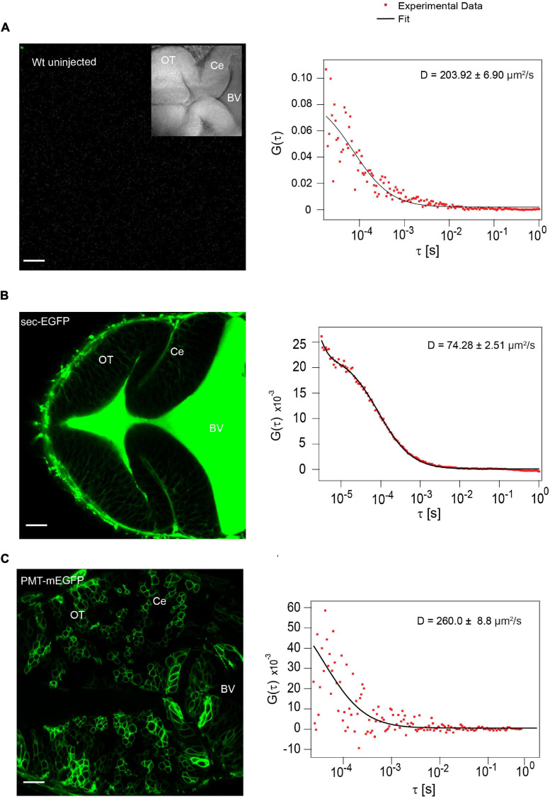 FIGURE 3