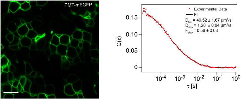 FIGURE 6