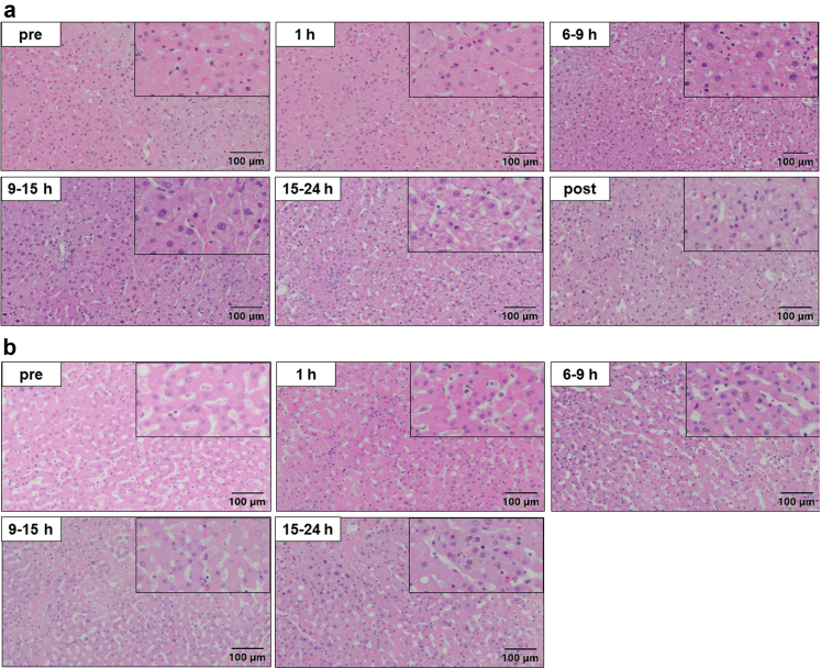 Fig. 3