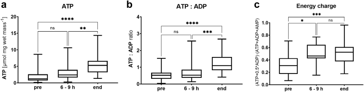 Fig. 7