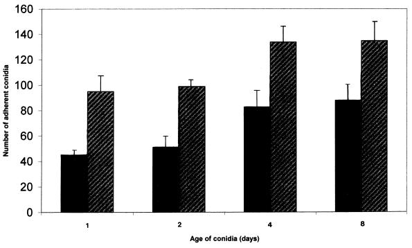 FIG. 6