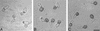 Figure 9.
