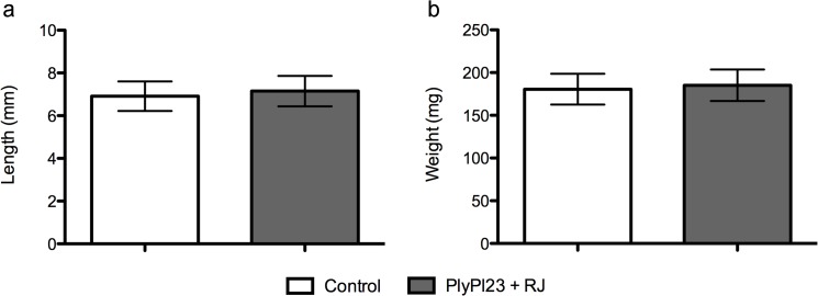 Fig 5