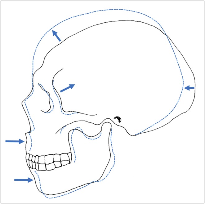 Fig. 1.