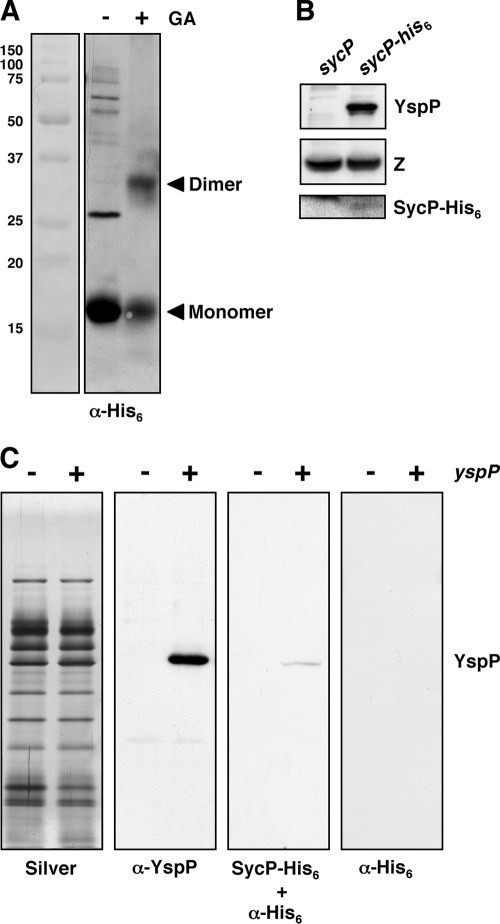 FIG. 4.