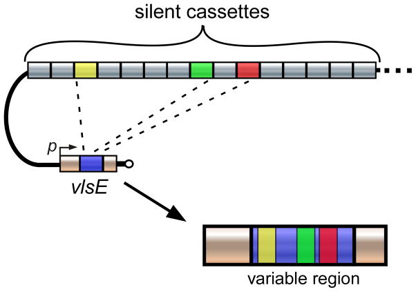 Figure 7