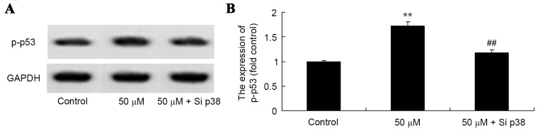 Figure 9.