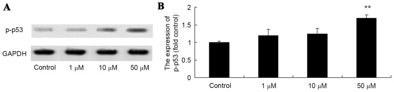 Figure 6.