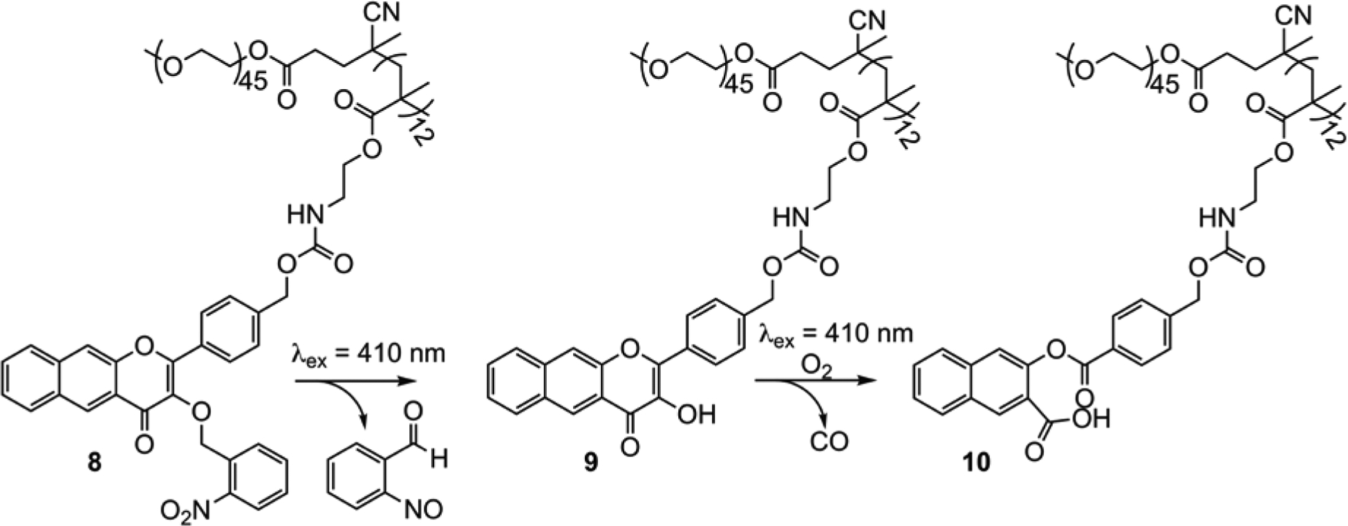 Scheme 3.