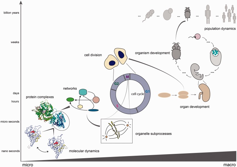 Figure 1: