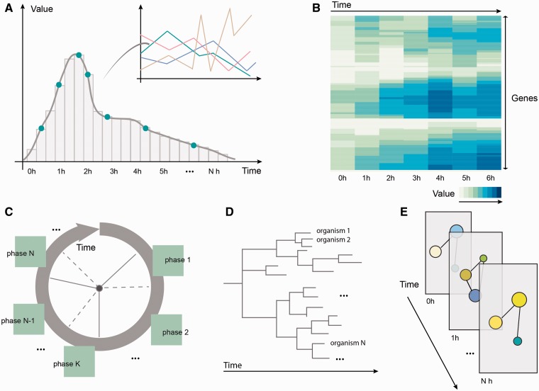 Figure 2: