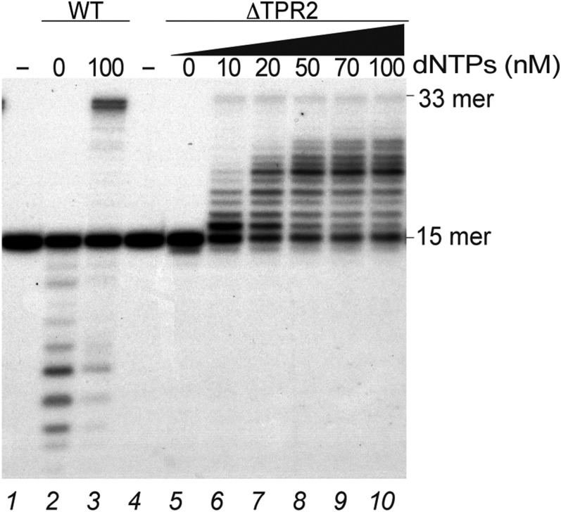 Fig. S5.