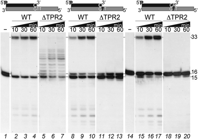 Fig 8.