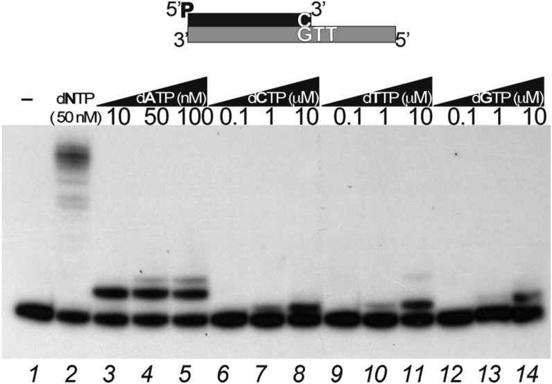 Fig. S2.