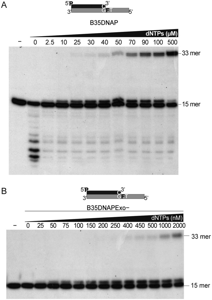 Fig. S4.