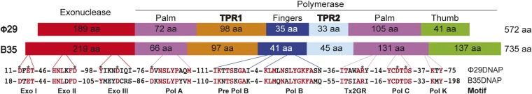 Fig. S1.