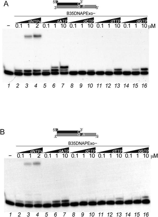 Fig. S3.