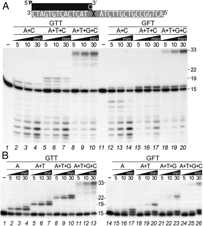 Fig. 6.