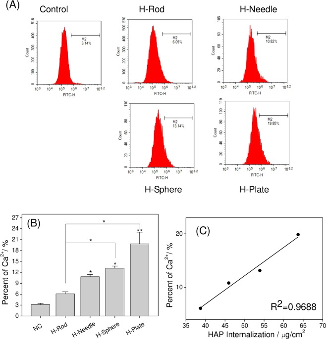 Figure 12