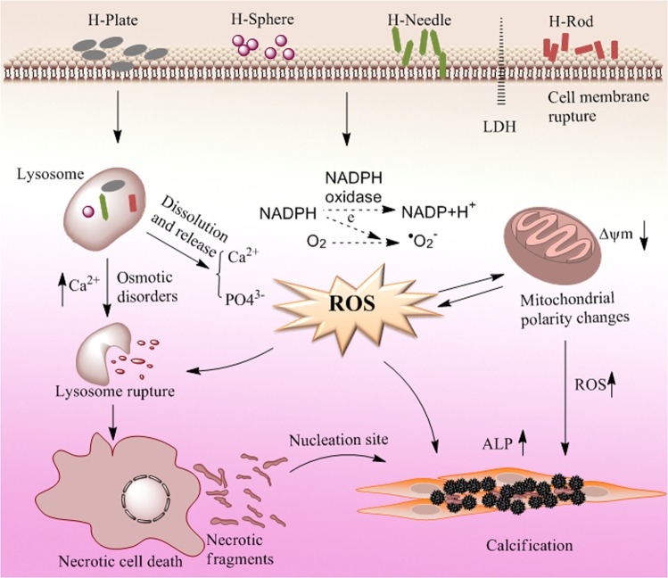 Figure 15