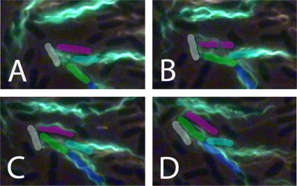 FIG. 11.