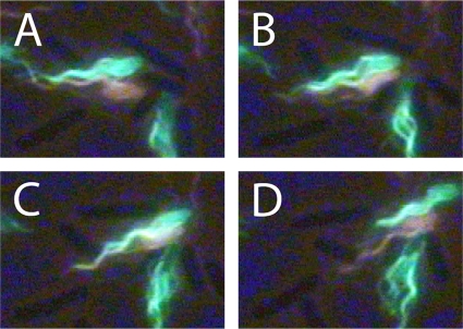 FIG. 10.