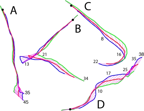 FIG. 2.