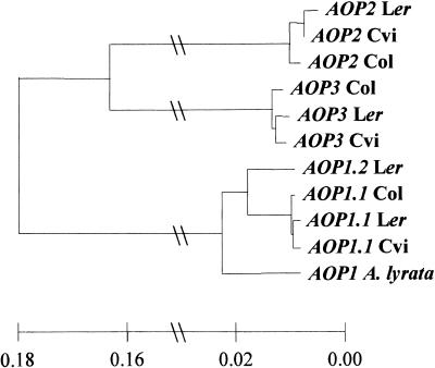 Figure 7.