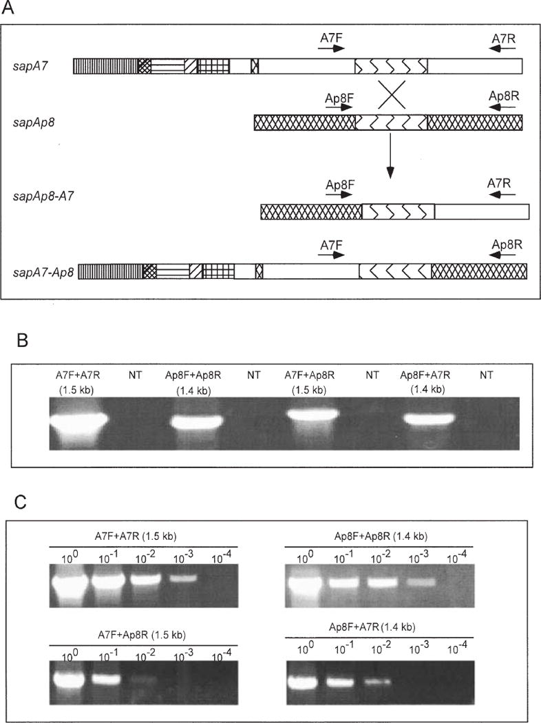 Fig. 8