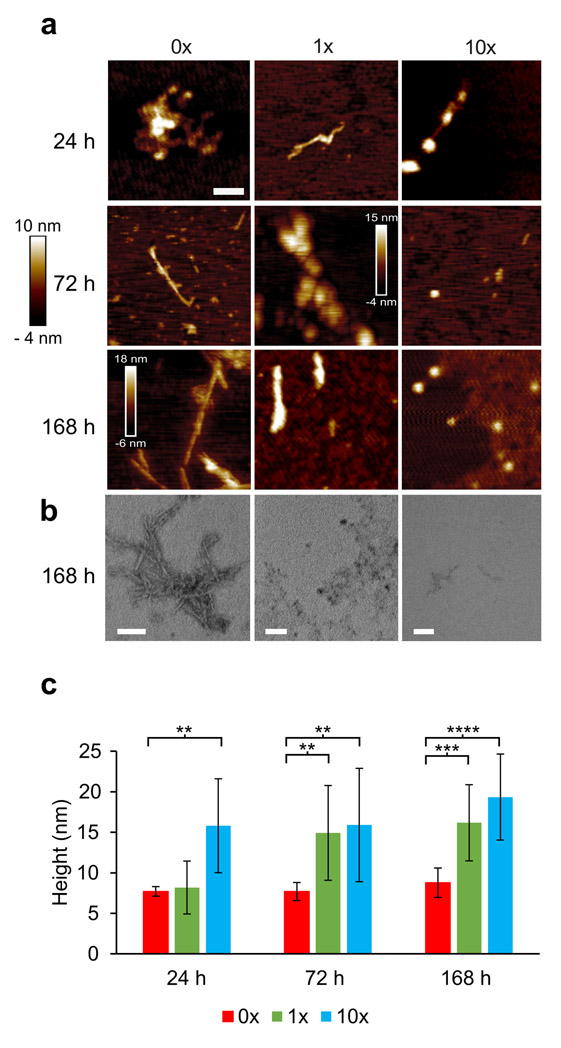 Figure 2: