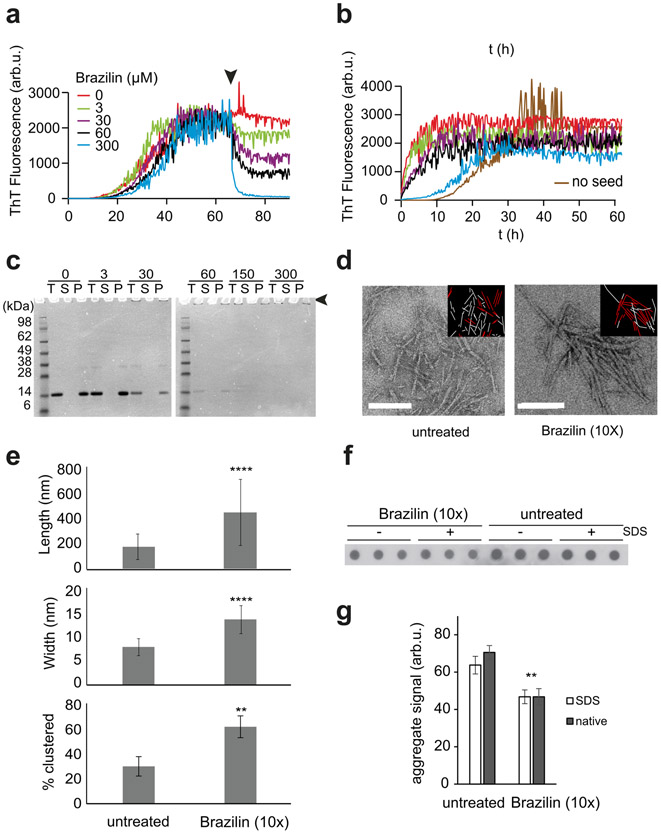 Figure 6: