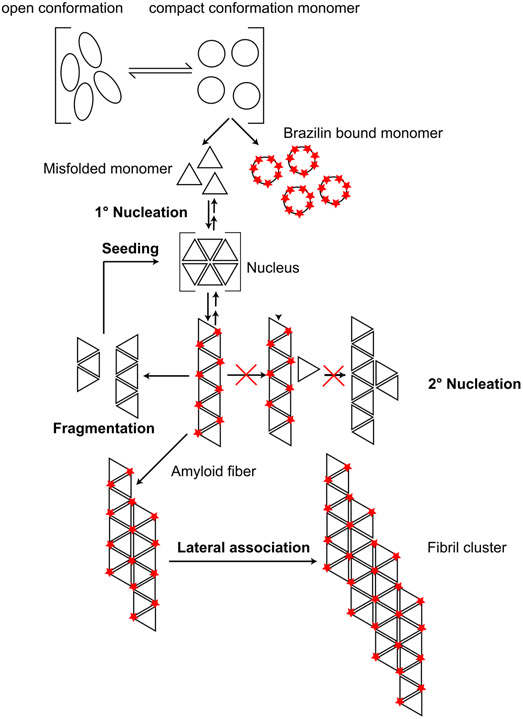 Figure 10: