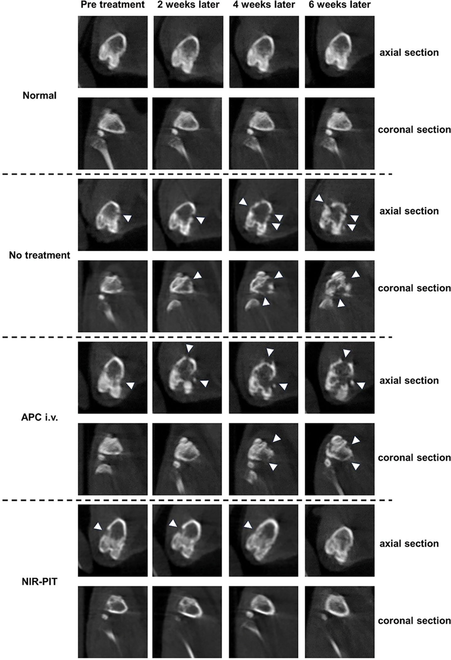 Figure 4.