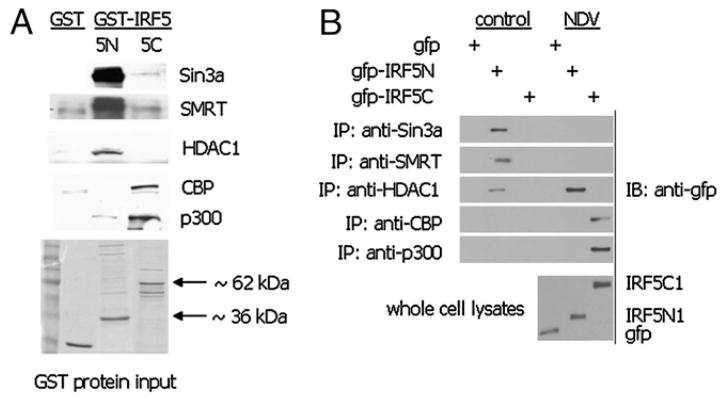 FIGURE 4