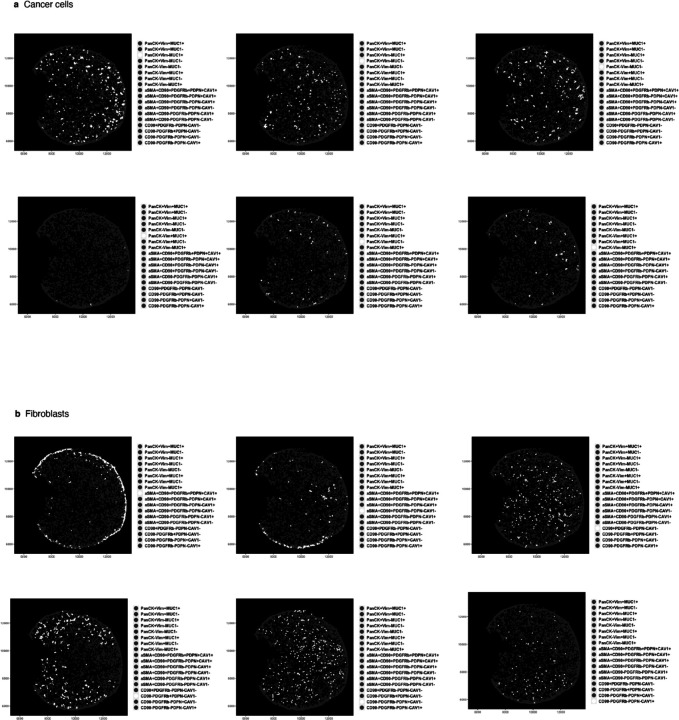 Extended Data Fig. 2.