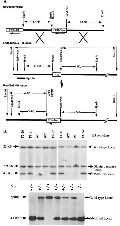 FIG. 1