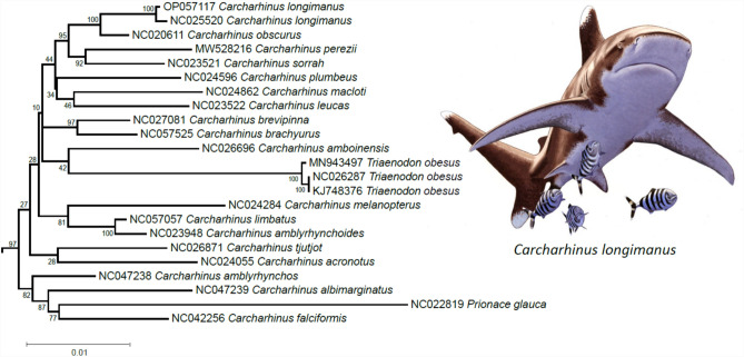 Fig. 4