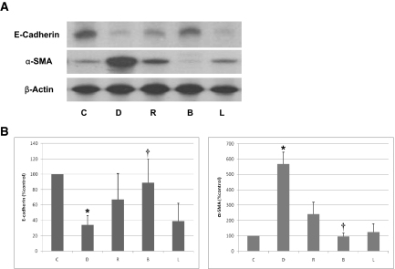 Figure 15.