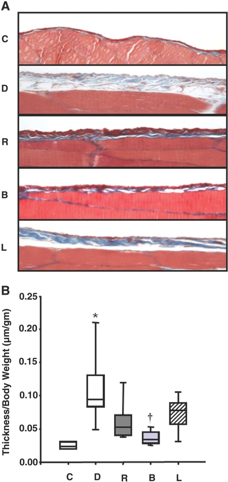 Figure 14.