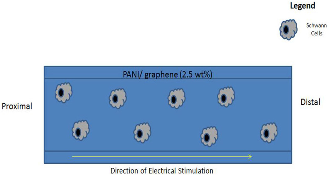 FIG. 13