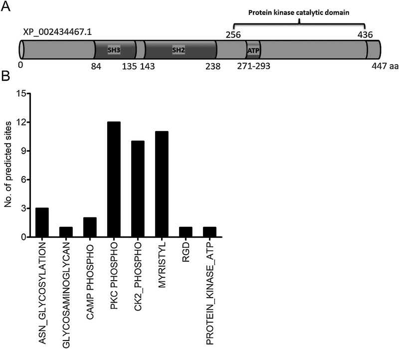 Figure 2: