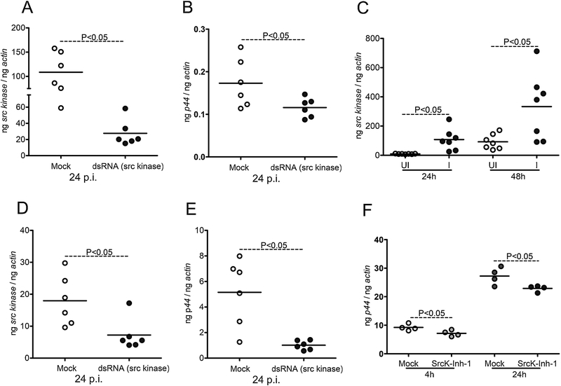 Figure 6: