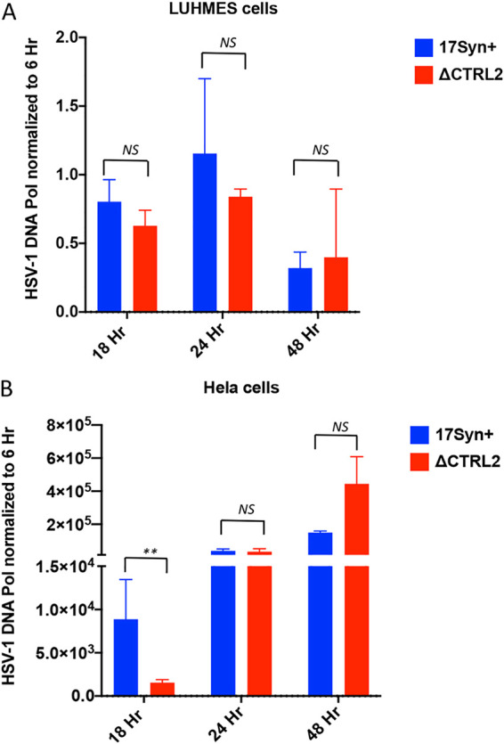 FIG 6