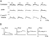 FIG. 13