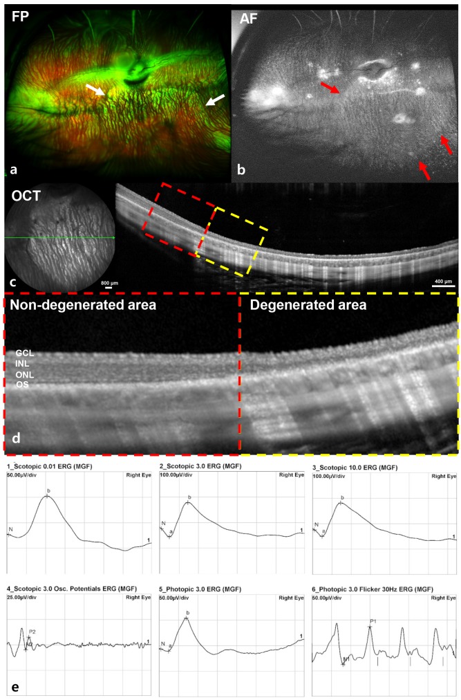 Fig. 4