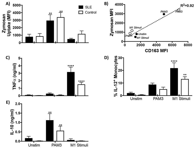 Figure 3: