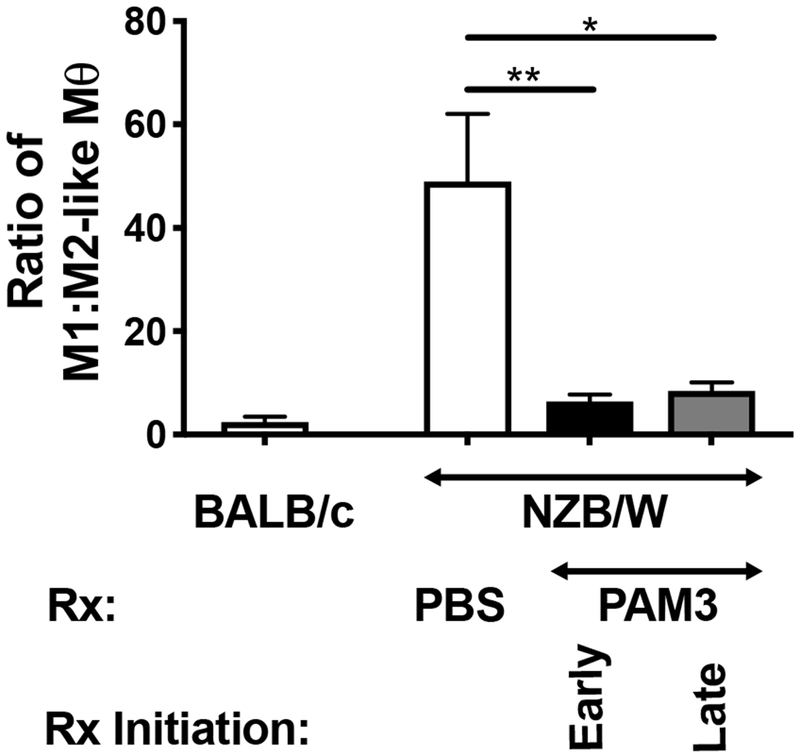 Figure 4: